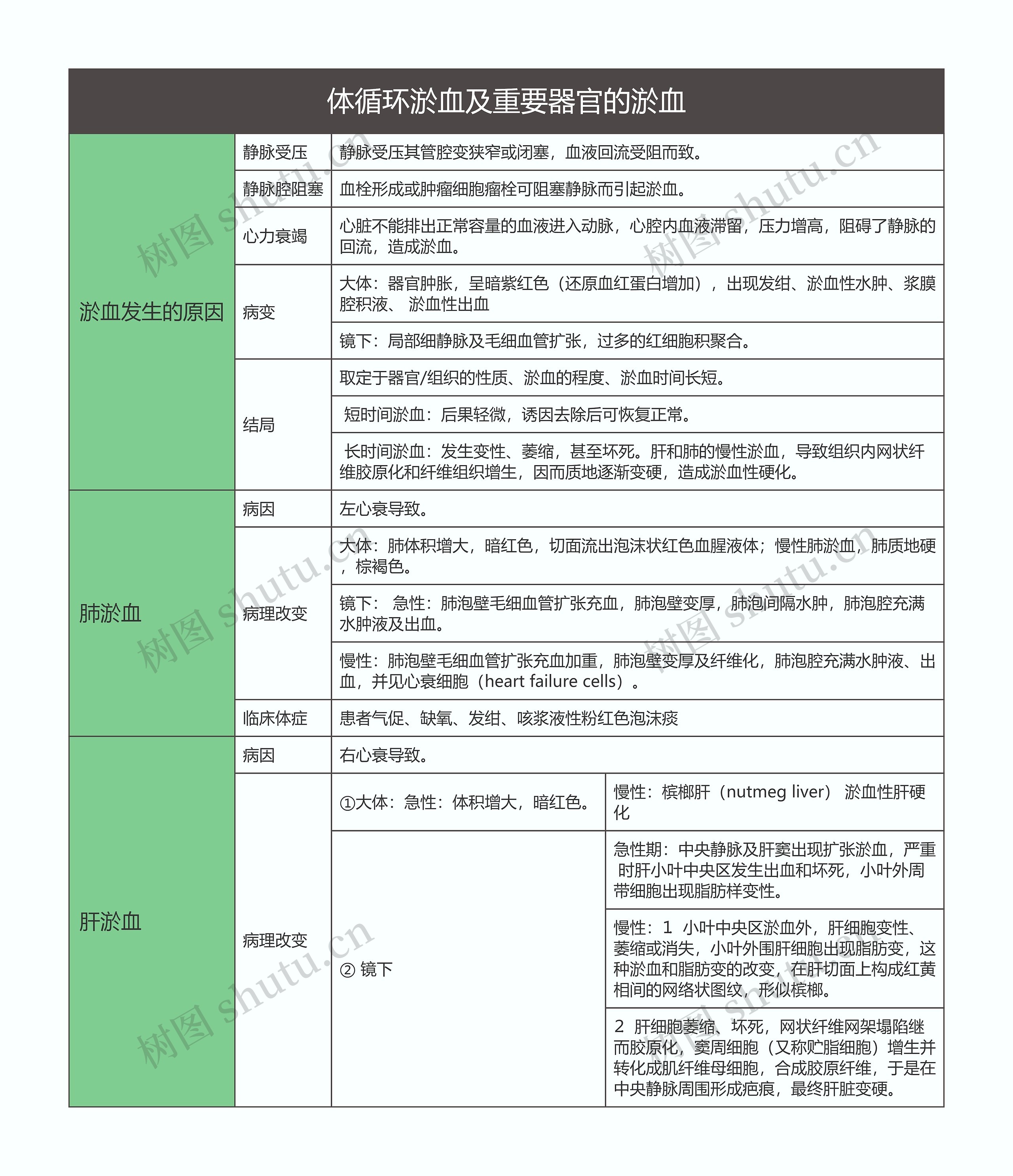 病理学  体循环淤血及重要器官的淤血思维导图