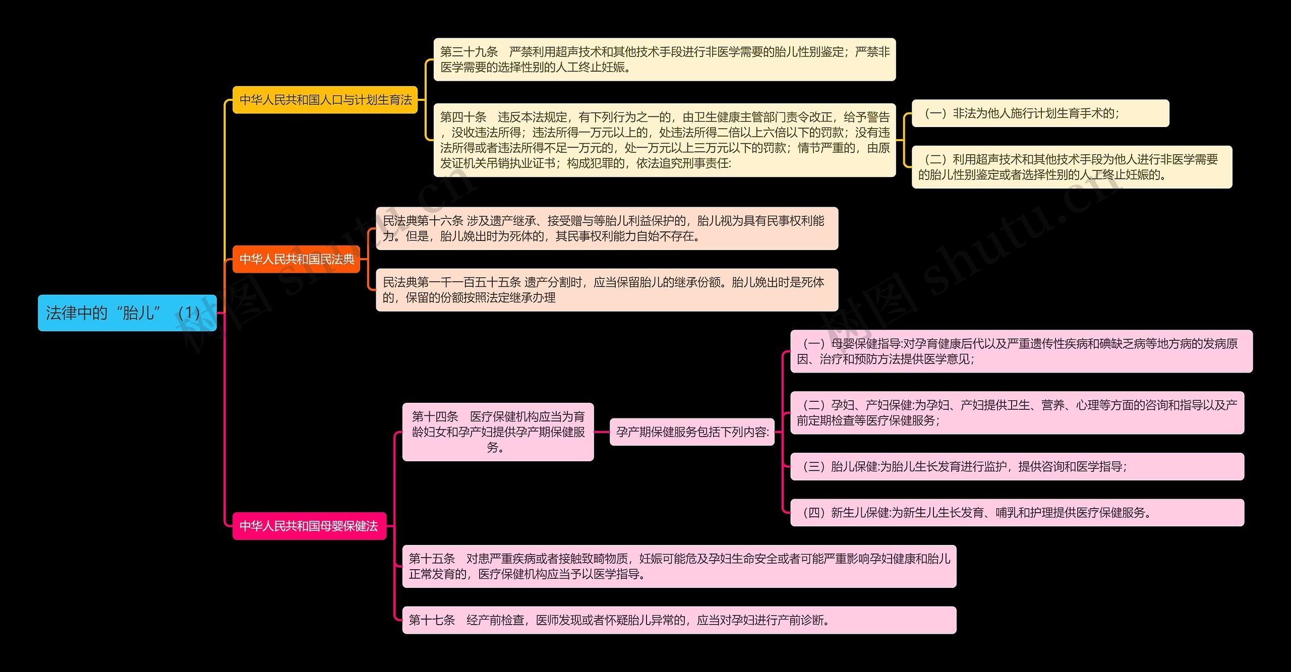 《法律中的“胎儿”（1）》思维导图