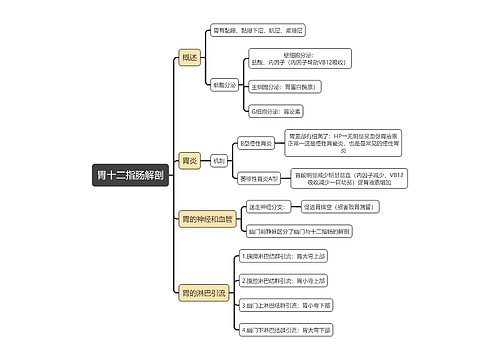 医学知识胃十二指肠解剖思维导图