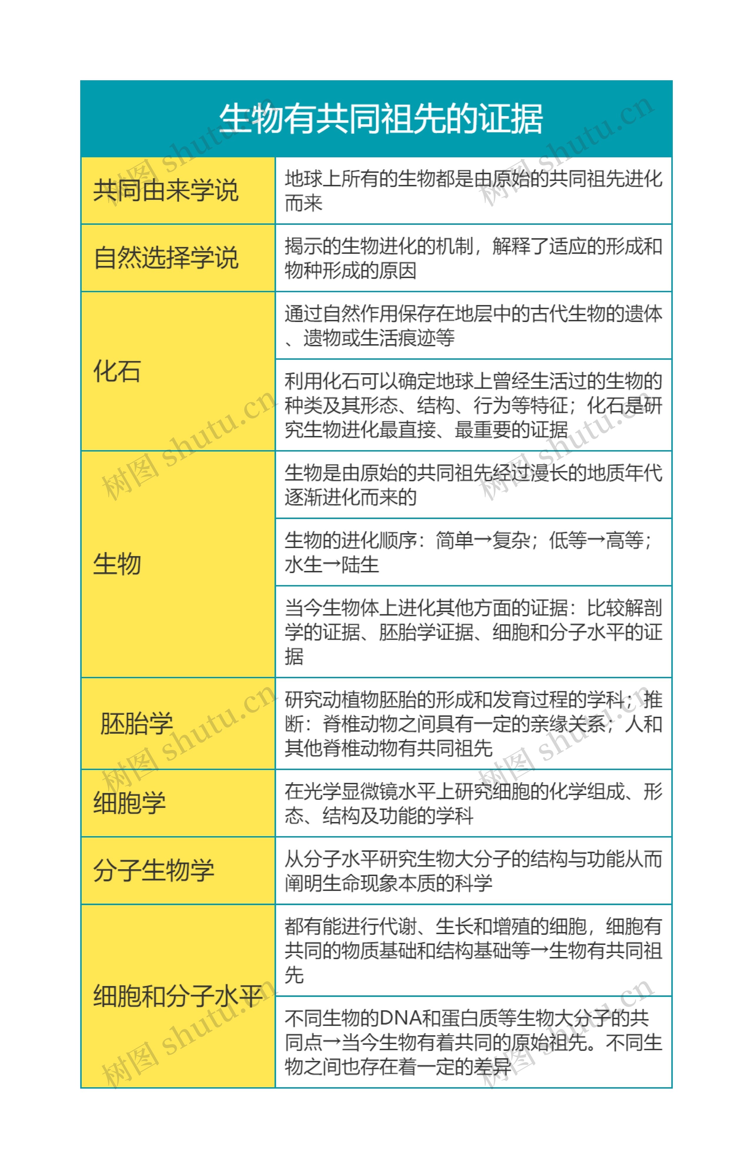 高中生物必修二第六单元 生物有共同祖先的证据思维导图