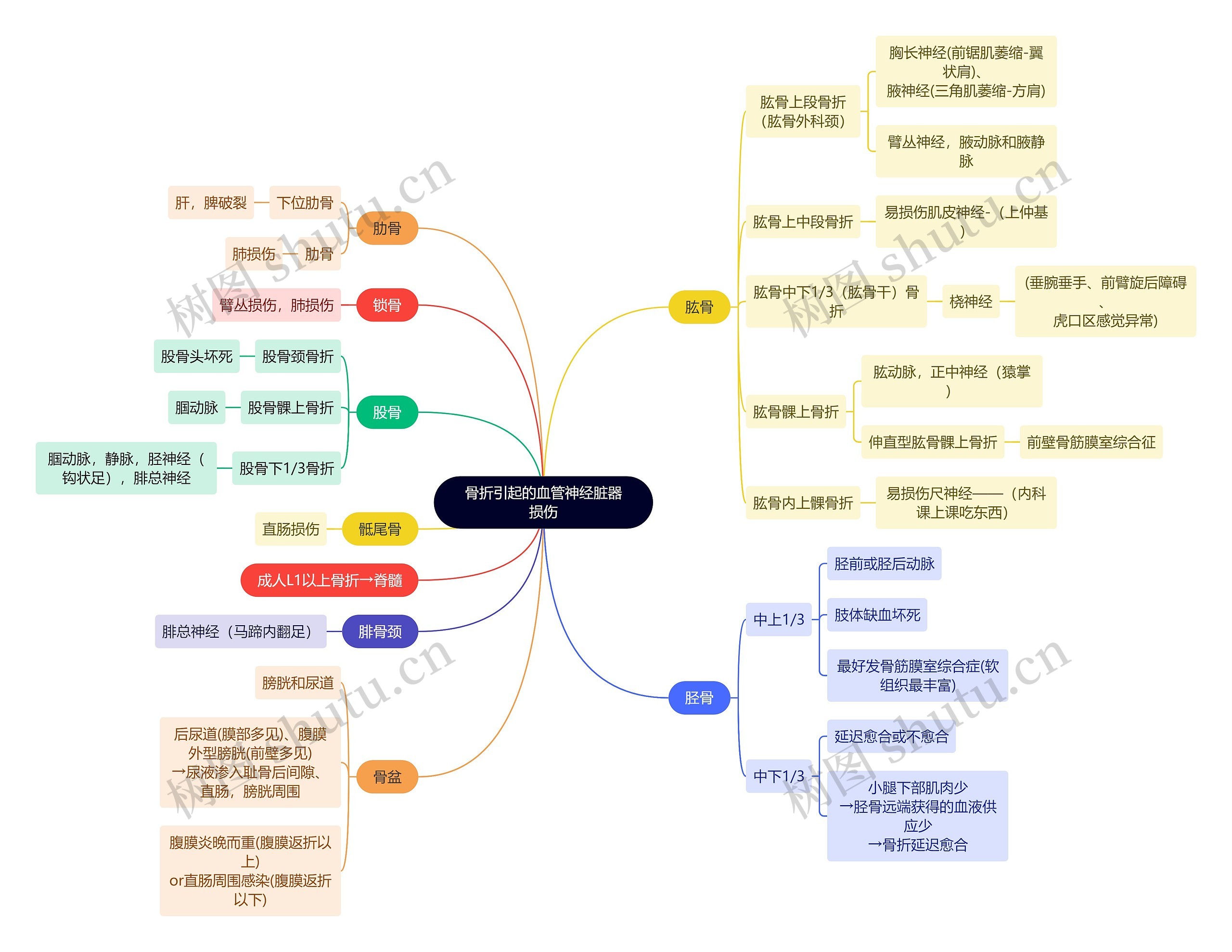 骨学知识骨折引起的血管神经脏器损伤思维导图