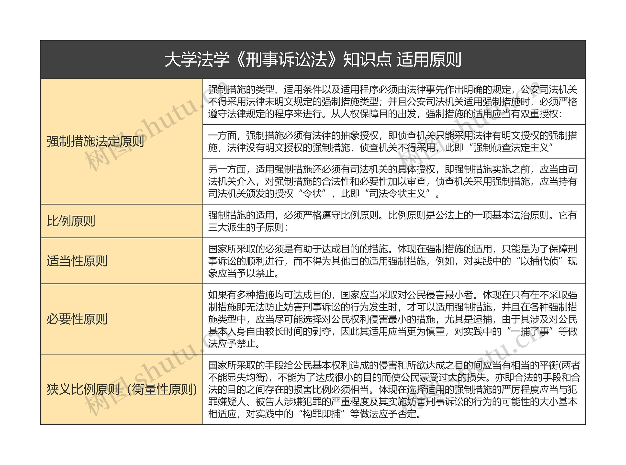 大学法学《刑事诉讼法》知识点 适用原则思维导图