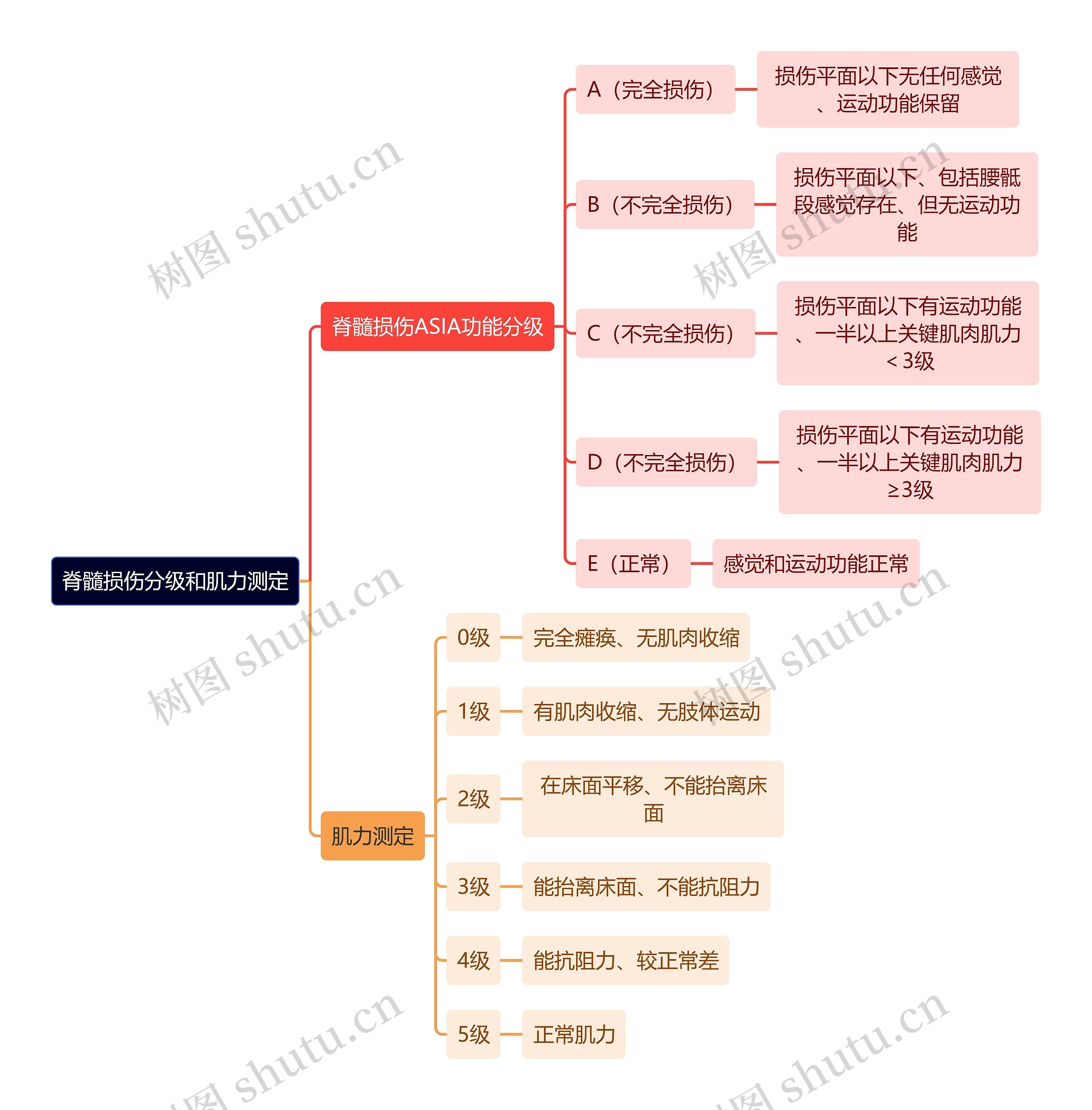 骨学知识脊髓损伤分级和肌力测定思维导图