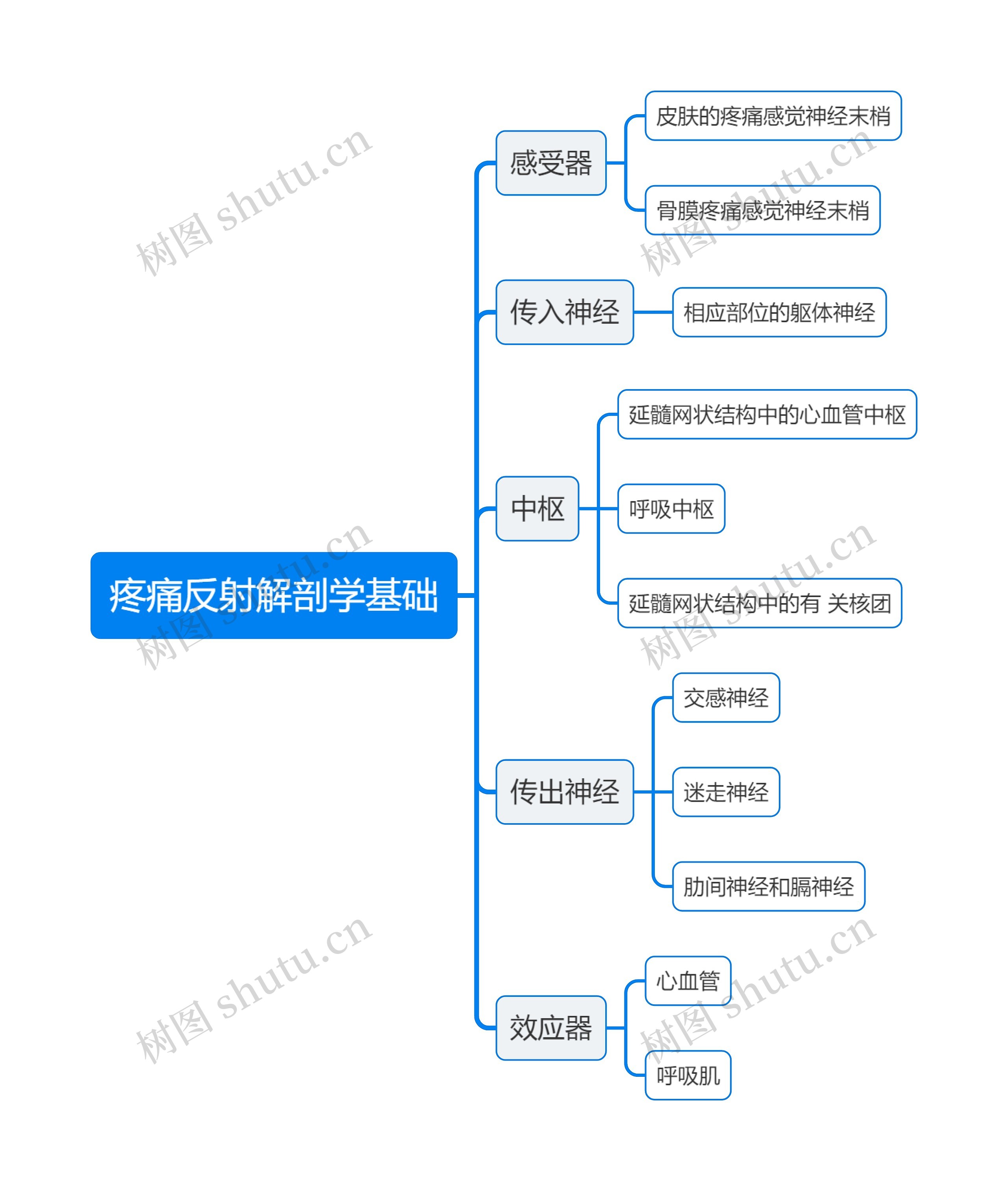 医学疼痛反射解剖学基础思维导图