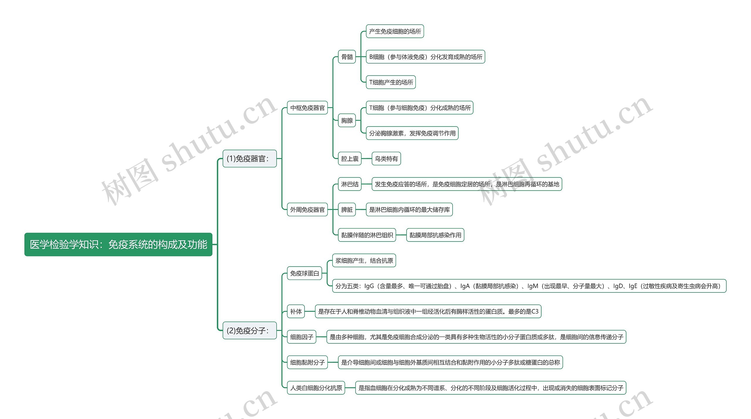 医学检验学知识：免疫系统的构成及功能思维导图