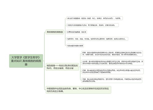 大学医学《医学生物学》重点知识 真核细胞的细胞器