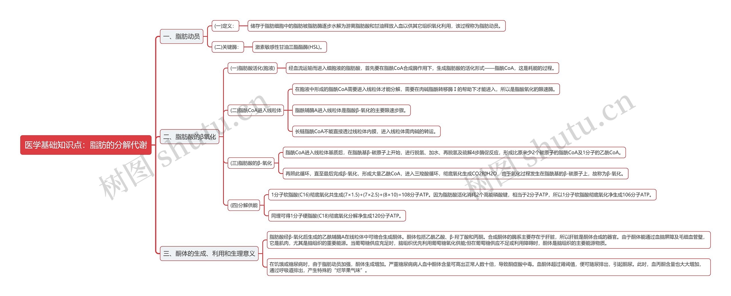 医学基础知识点：脂肪的分解代谢思维导图