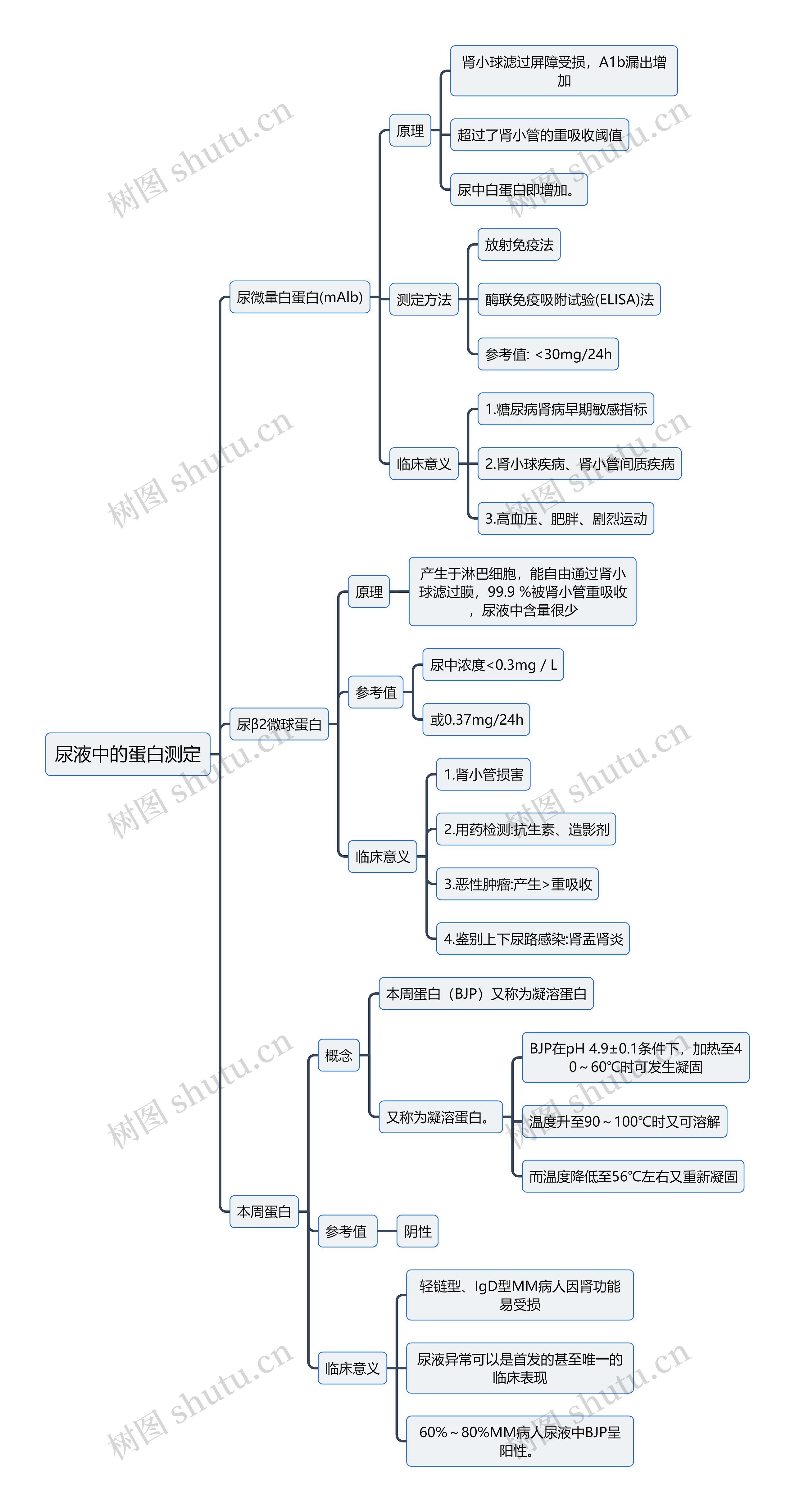 医学知识尿液中的蛋白测定思维导图