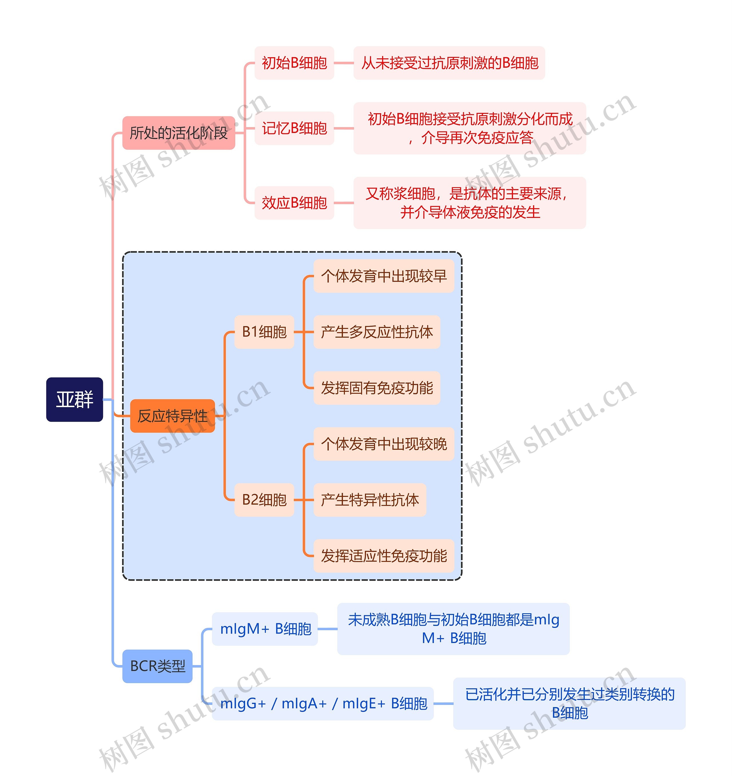 医学知识亚群思维导图