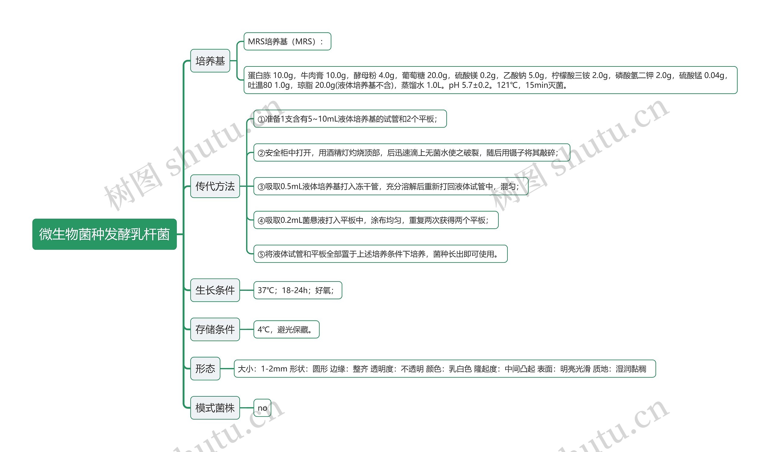 微生物菌种发酵乳杆菌思维导图高清图 微生物菌种发酵乳杆菌思维导图