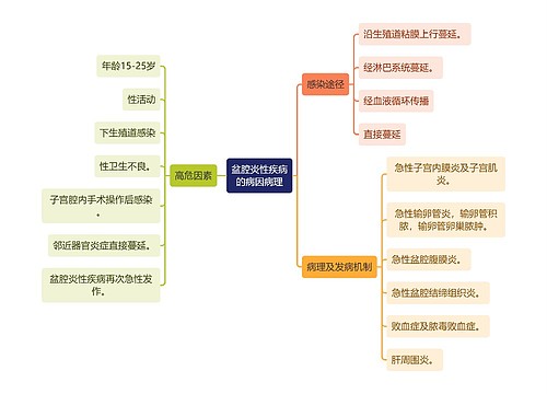 医学知识盆腔炎性疾病的病因病理思维导图