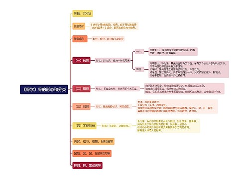 《骨学》骨的形态和分类