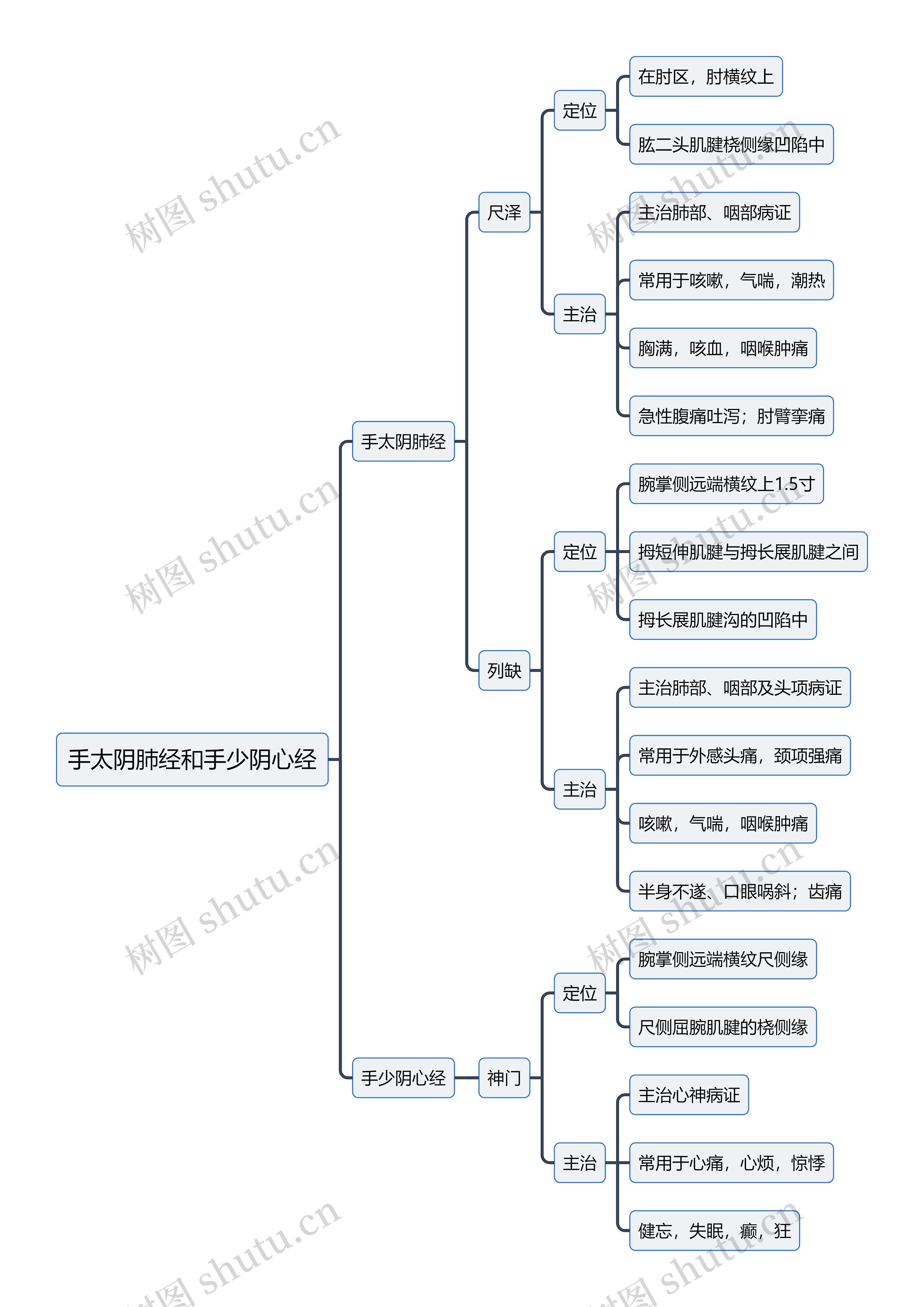 中医知识手太阴肺经和手少阴心经思维导图