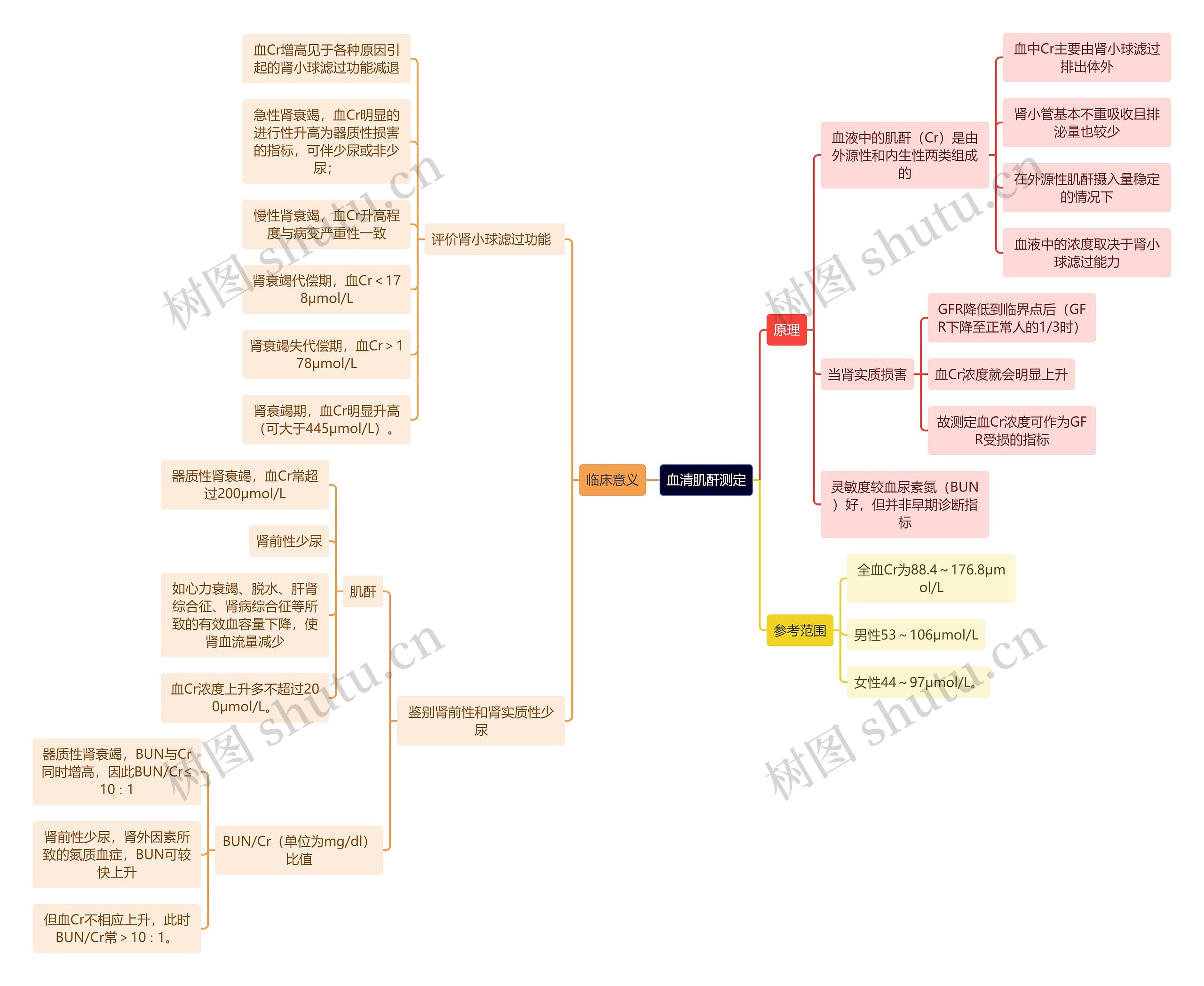 医学知识血清肌酐测定思维导图