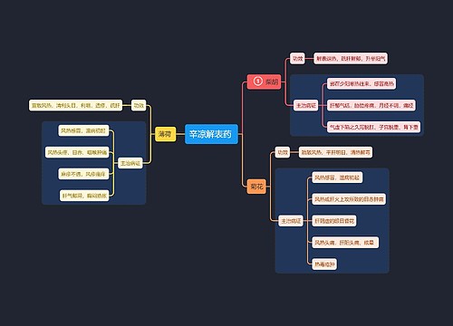 医学知识辛凉解表药思维导图