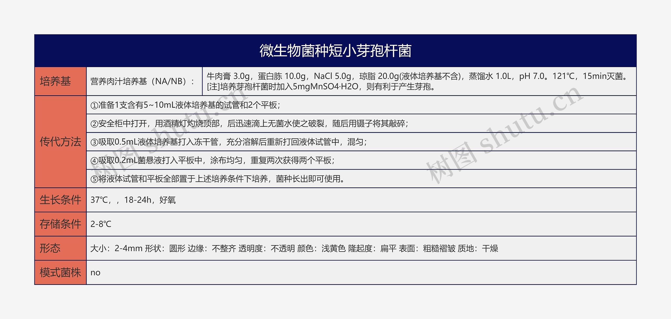 微生物菌种短小芽孢杆菌思维导图