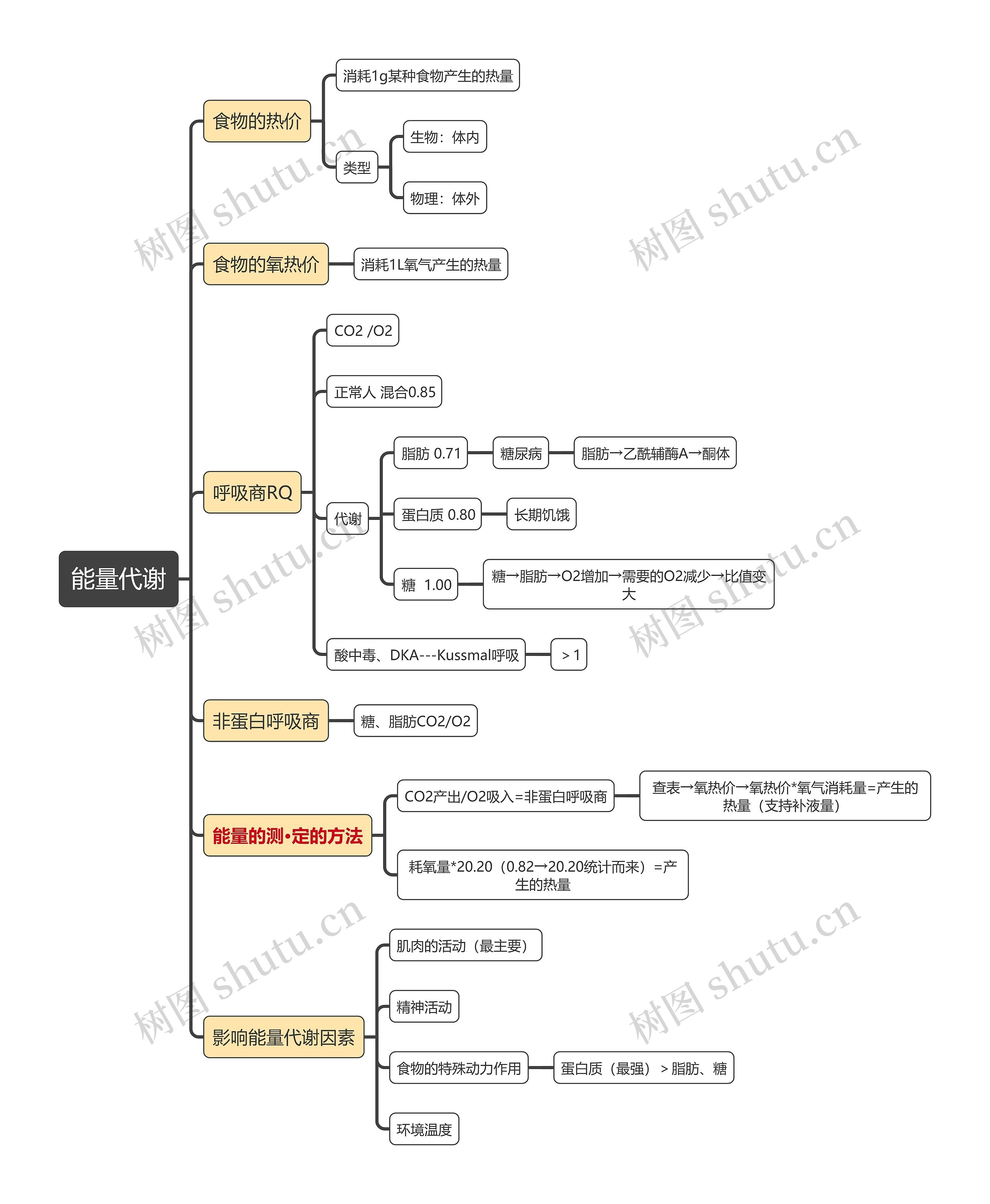 医学知识能量代谢思维导图