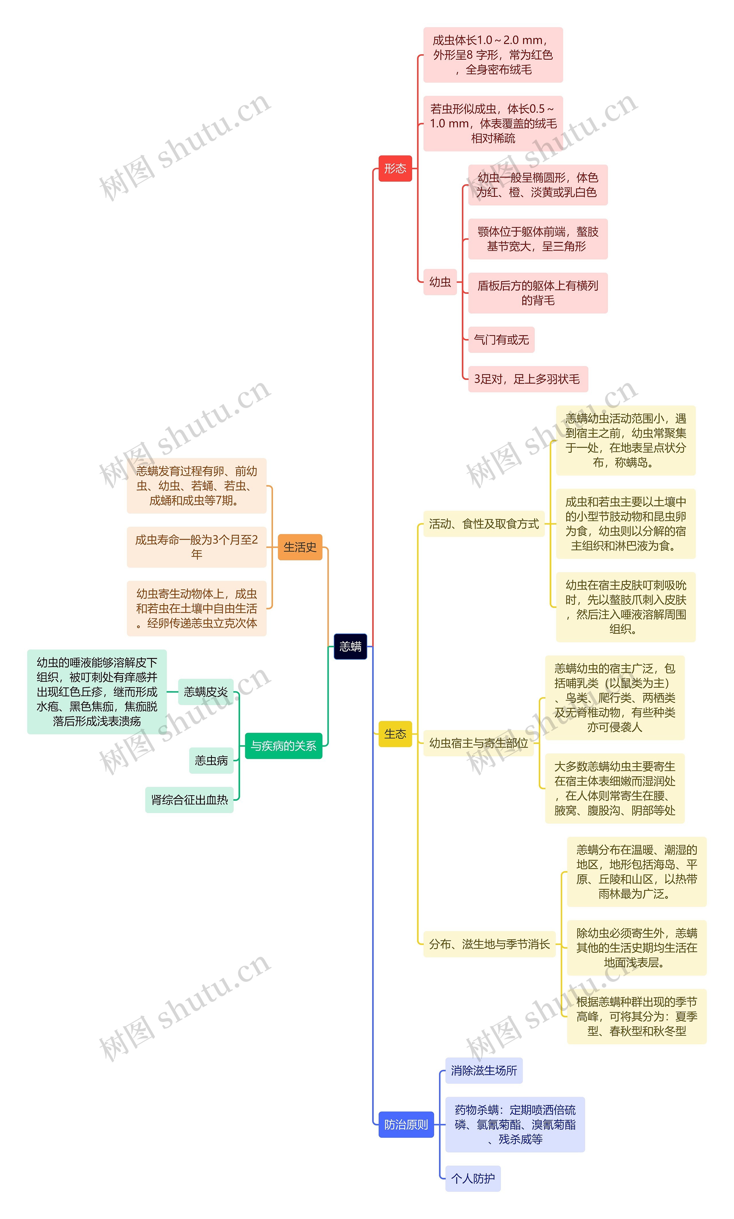 医学知识恙螨思维导图