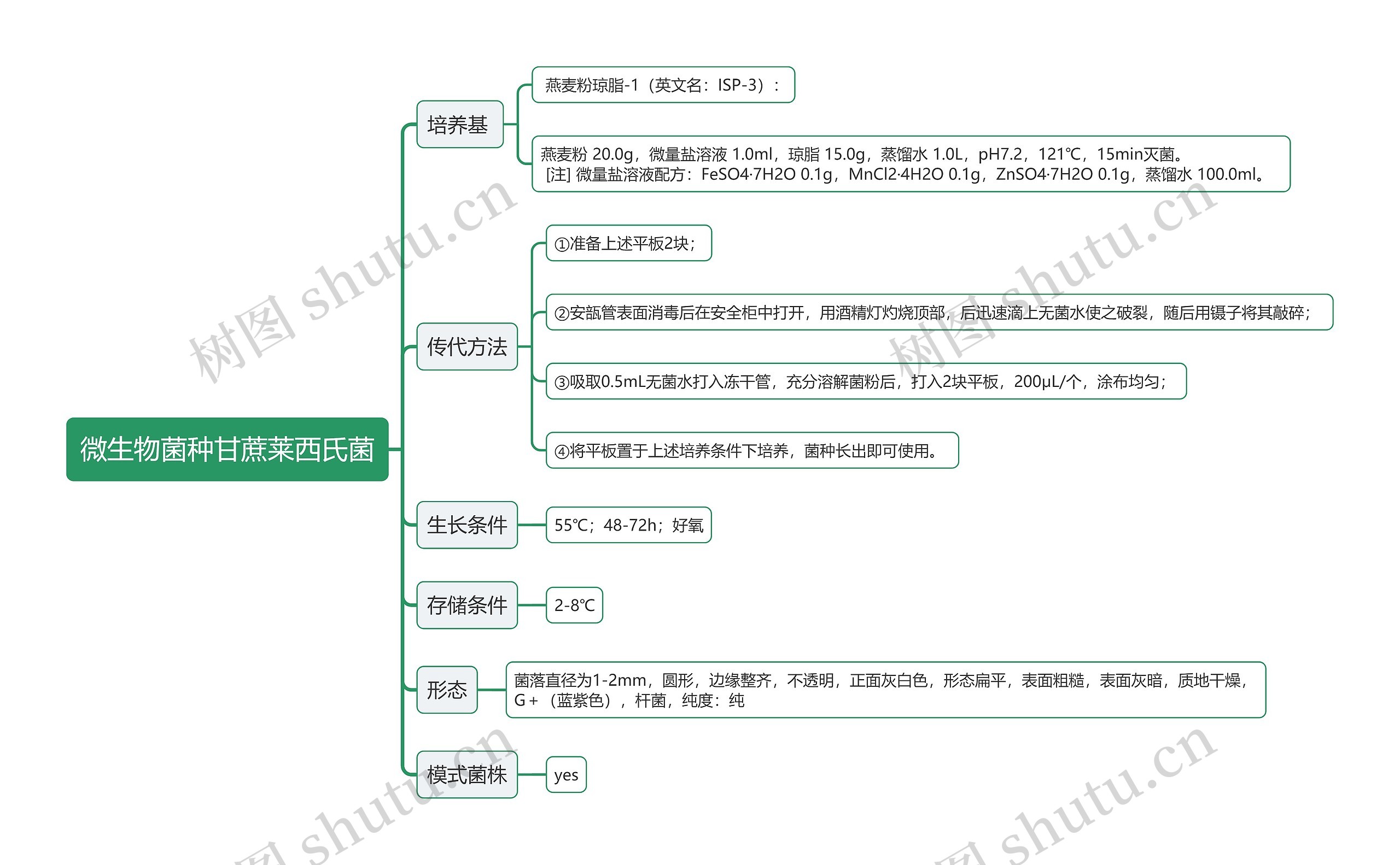 微生物菌种甘蔗莱西氏菌思维导图