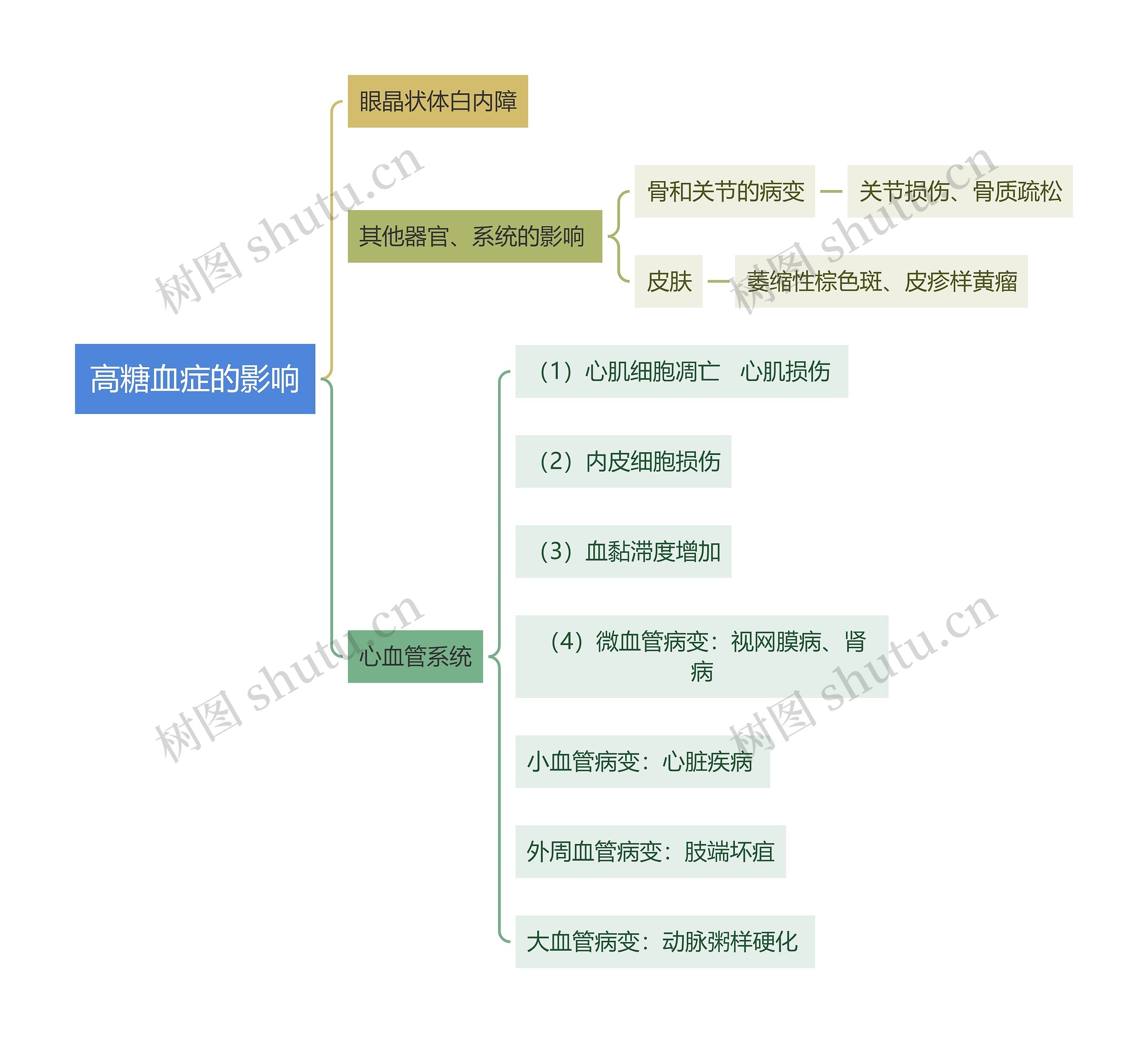 医学知识高糖血症的影响：心血管系统等相关思维导图