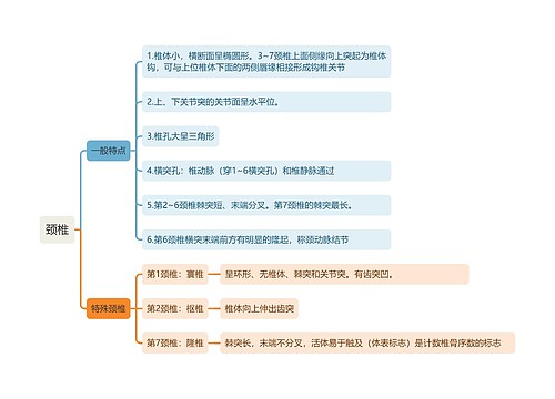 颈椎思维导图