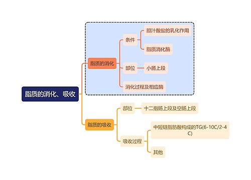 医学知识脂质的消化、吸收思维导图