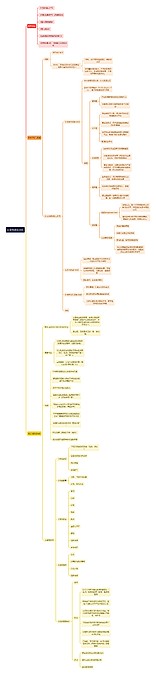 社会性别主流化思维导图_编号t8051987-TreeMind树图