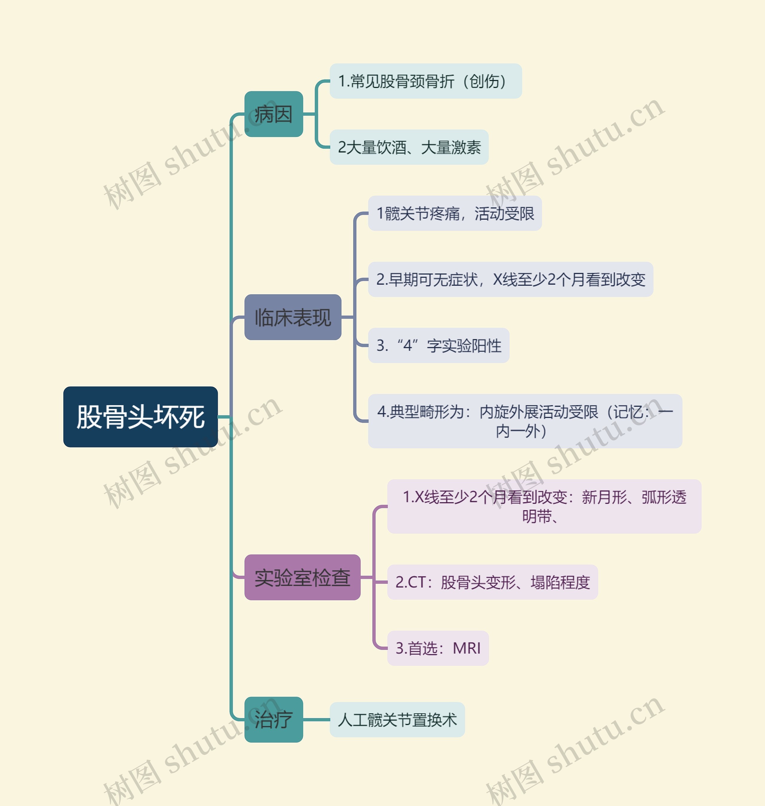 外科学知识股骨头坏死思维导图