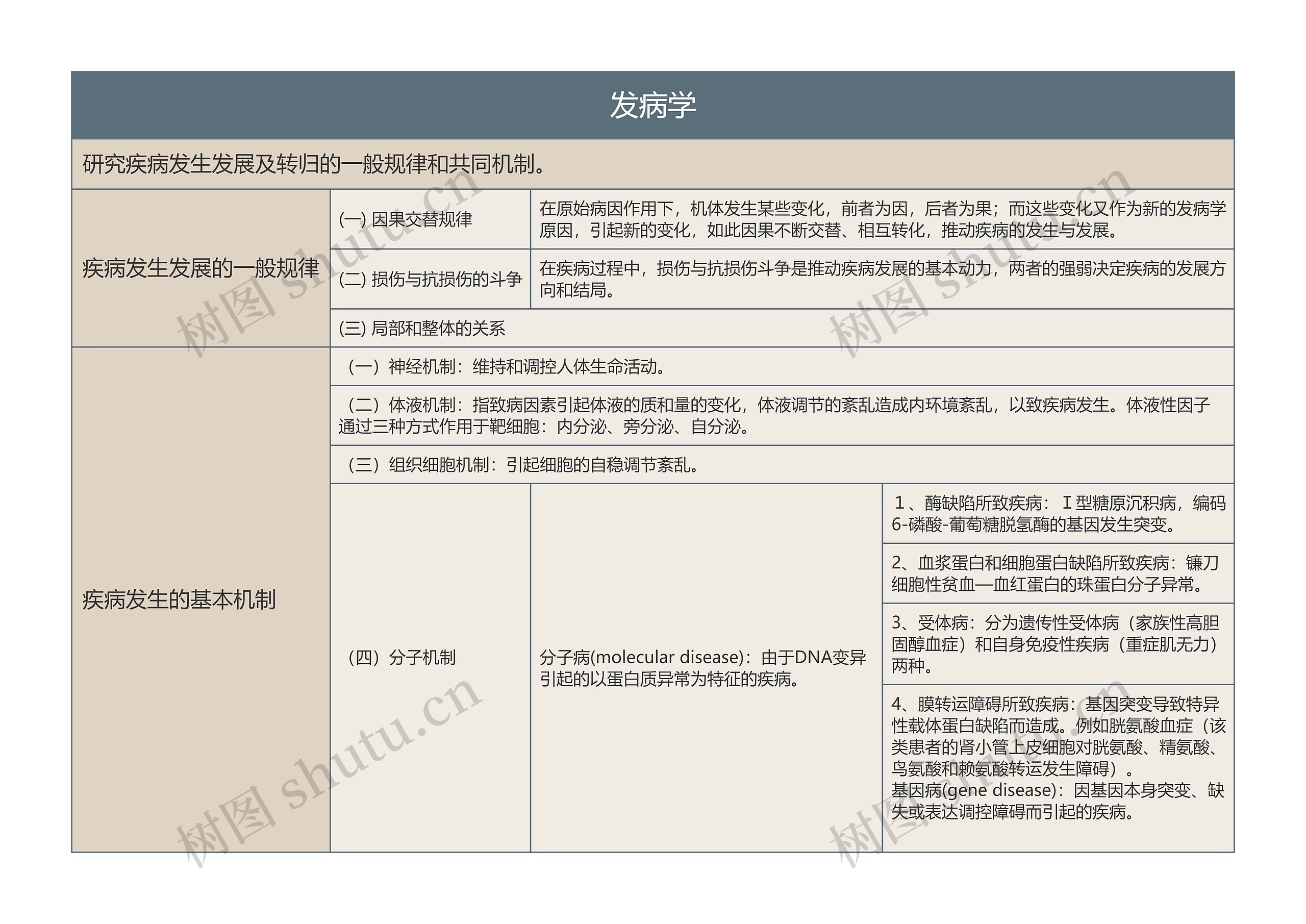 发病学的思维导图