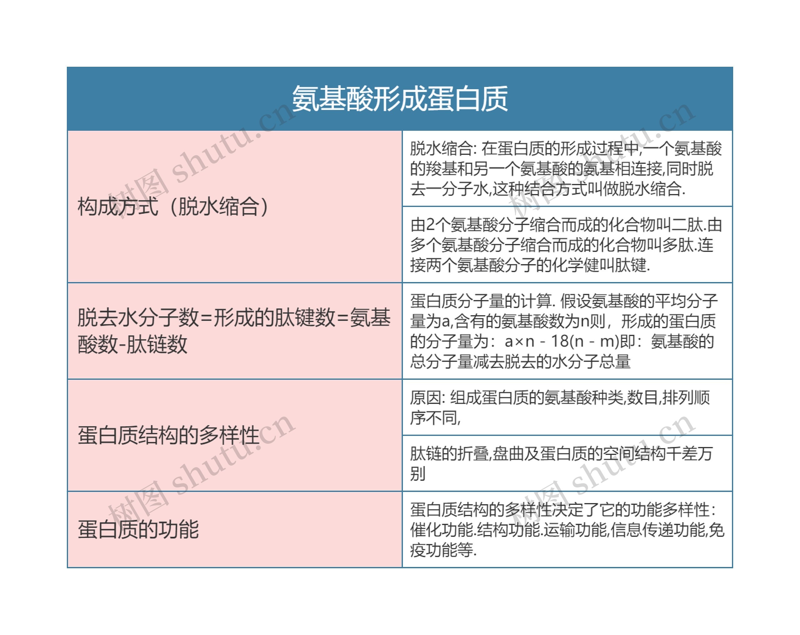 高一生物必修一氨基酸形成蛋白质思维导图