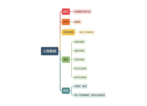 医学大隐静脉思维导图