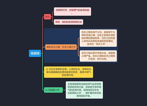 中医知识肾藏精思维导图