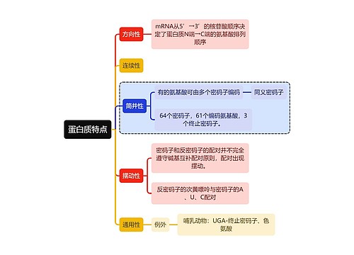 医学知识蛋白质特点思维导图