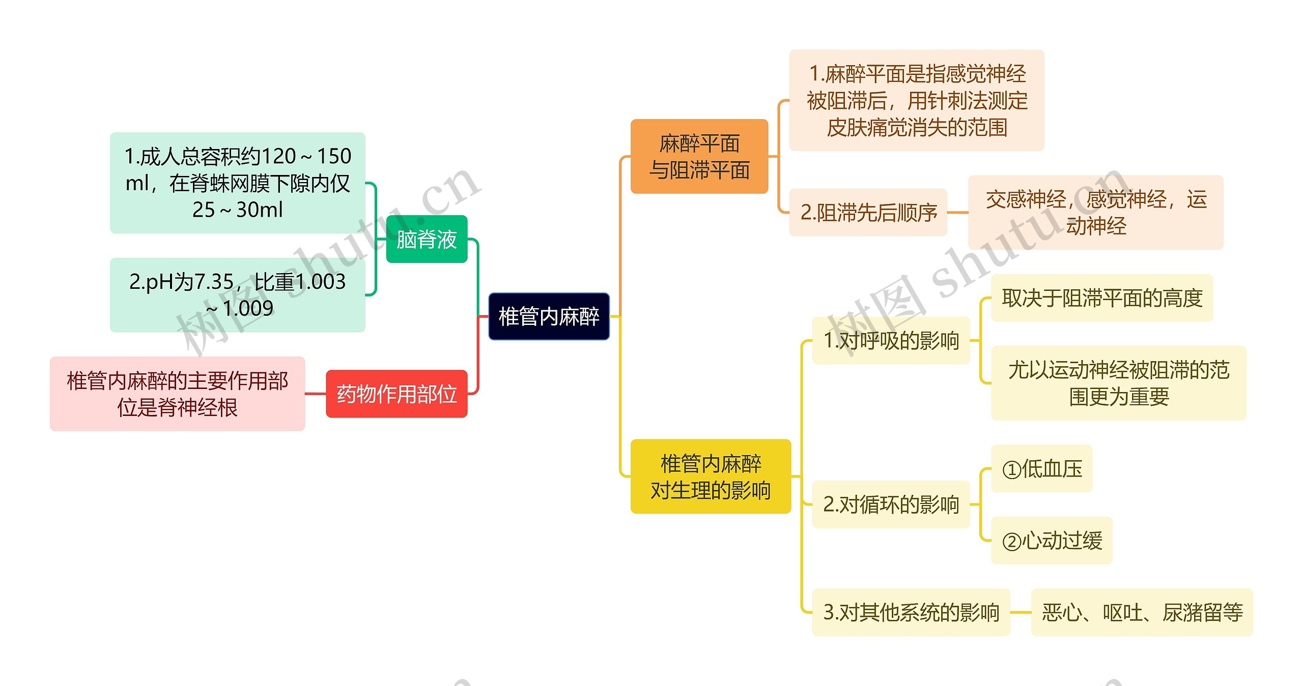 医学知识椎管内麻醉思维导图