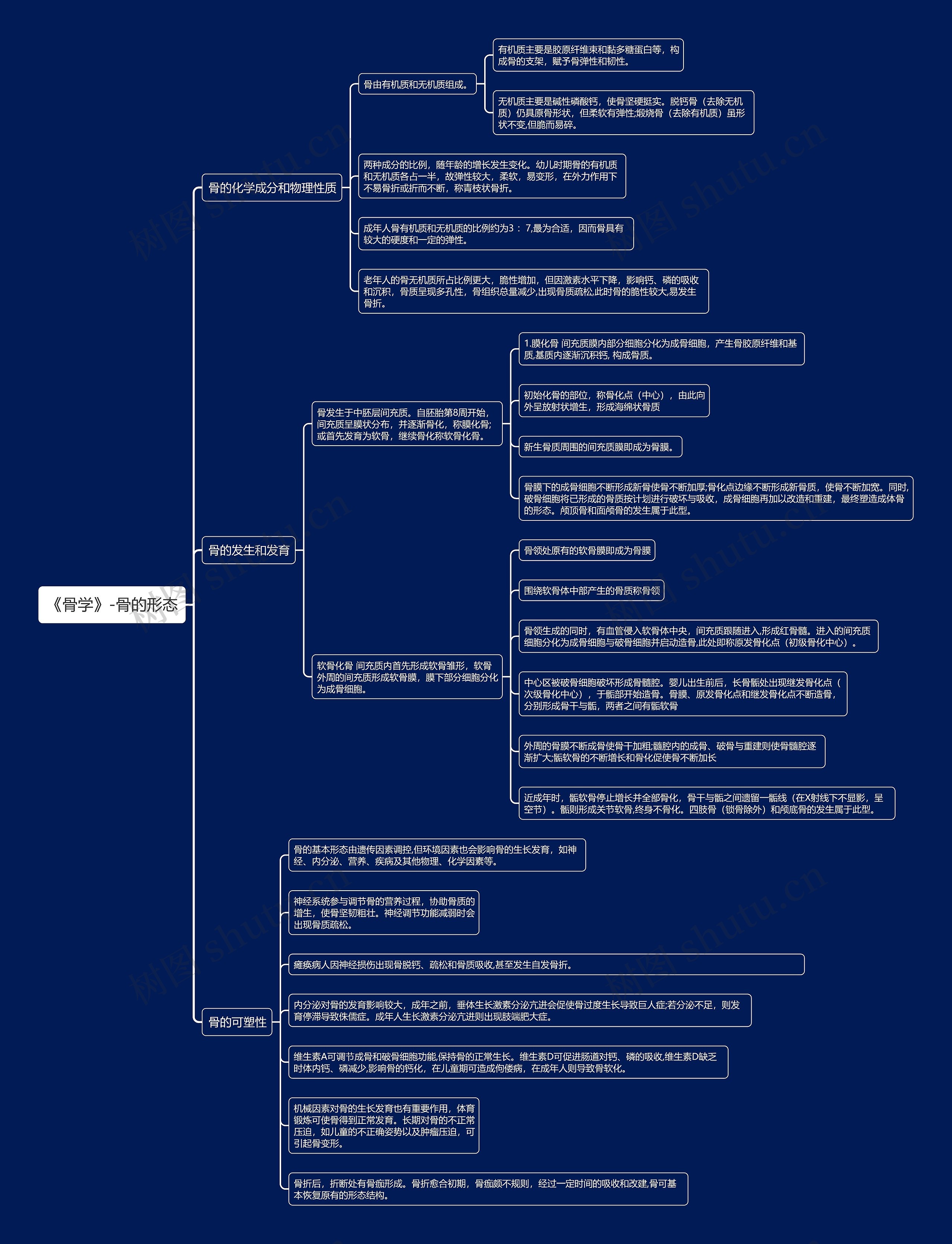 《骨学》-骨的形态思维导图
