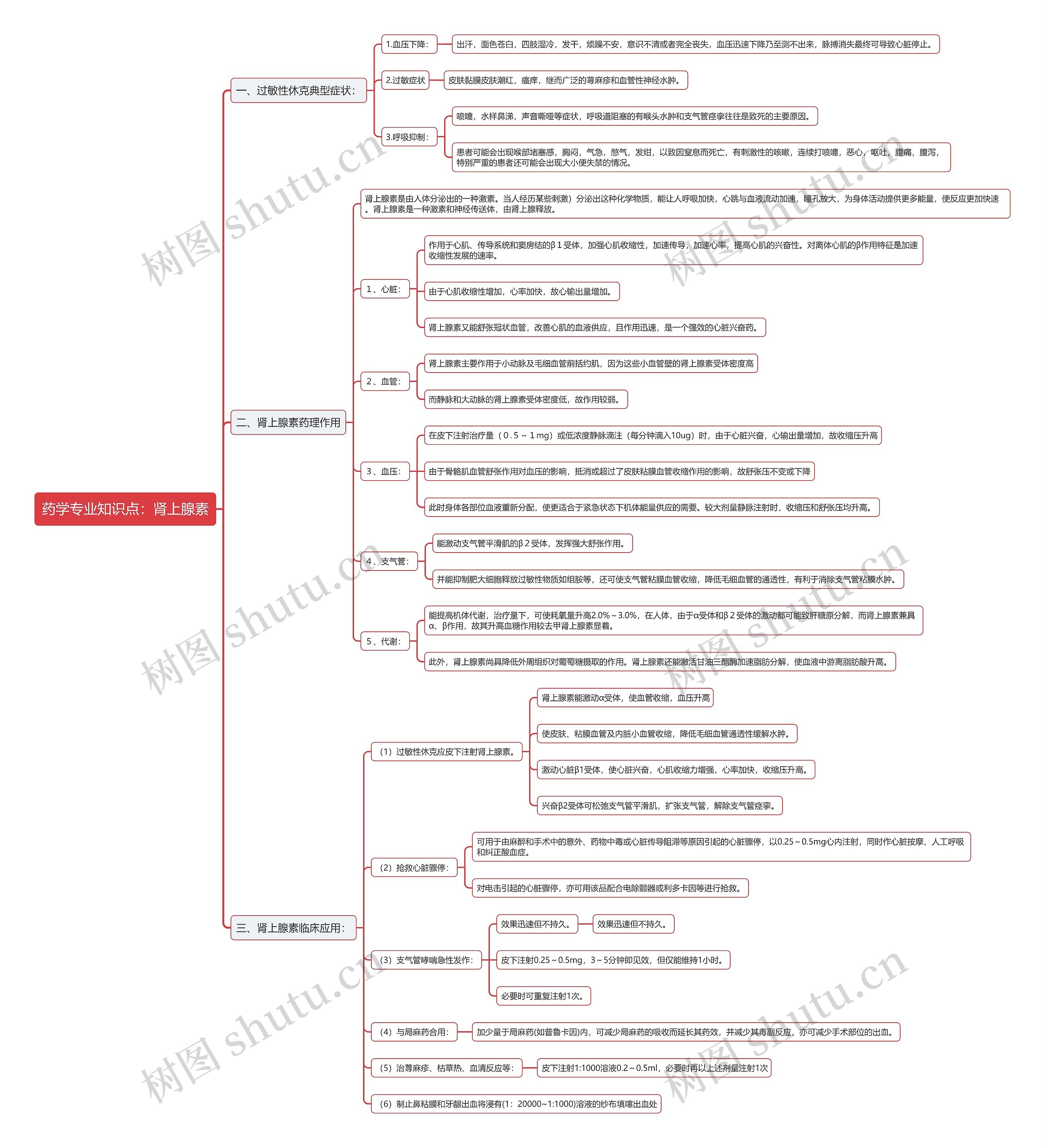 药学专业知识点：肾上腺素思维导图