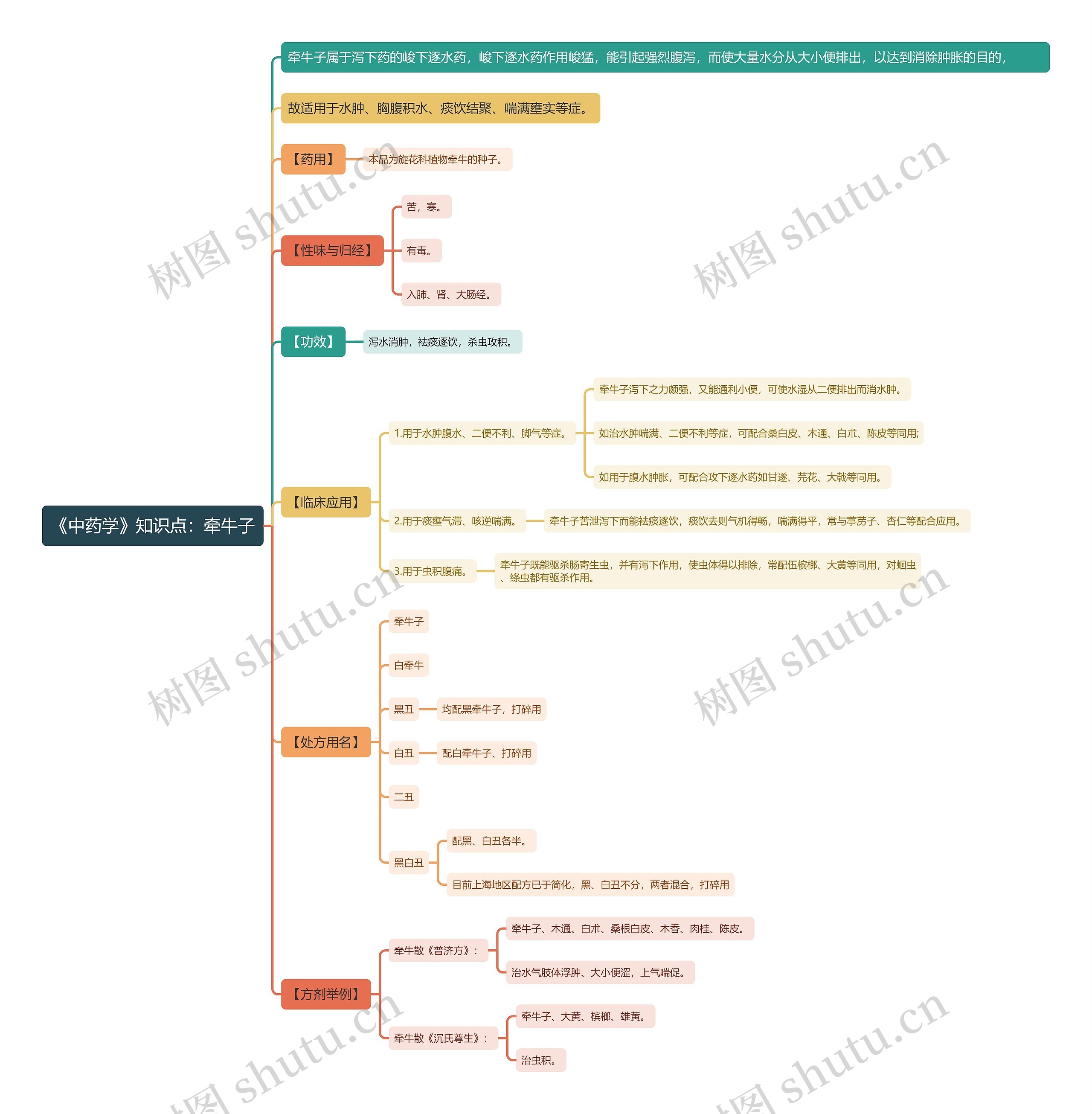 《中药学》知识点：牵牛子思维导图