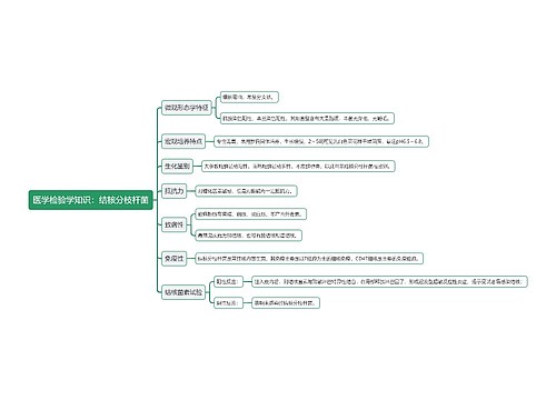 医学检验学知识：结核分枝杆菌思维导图