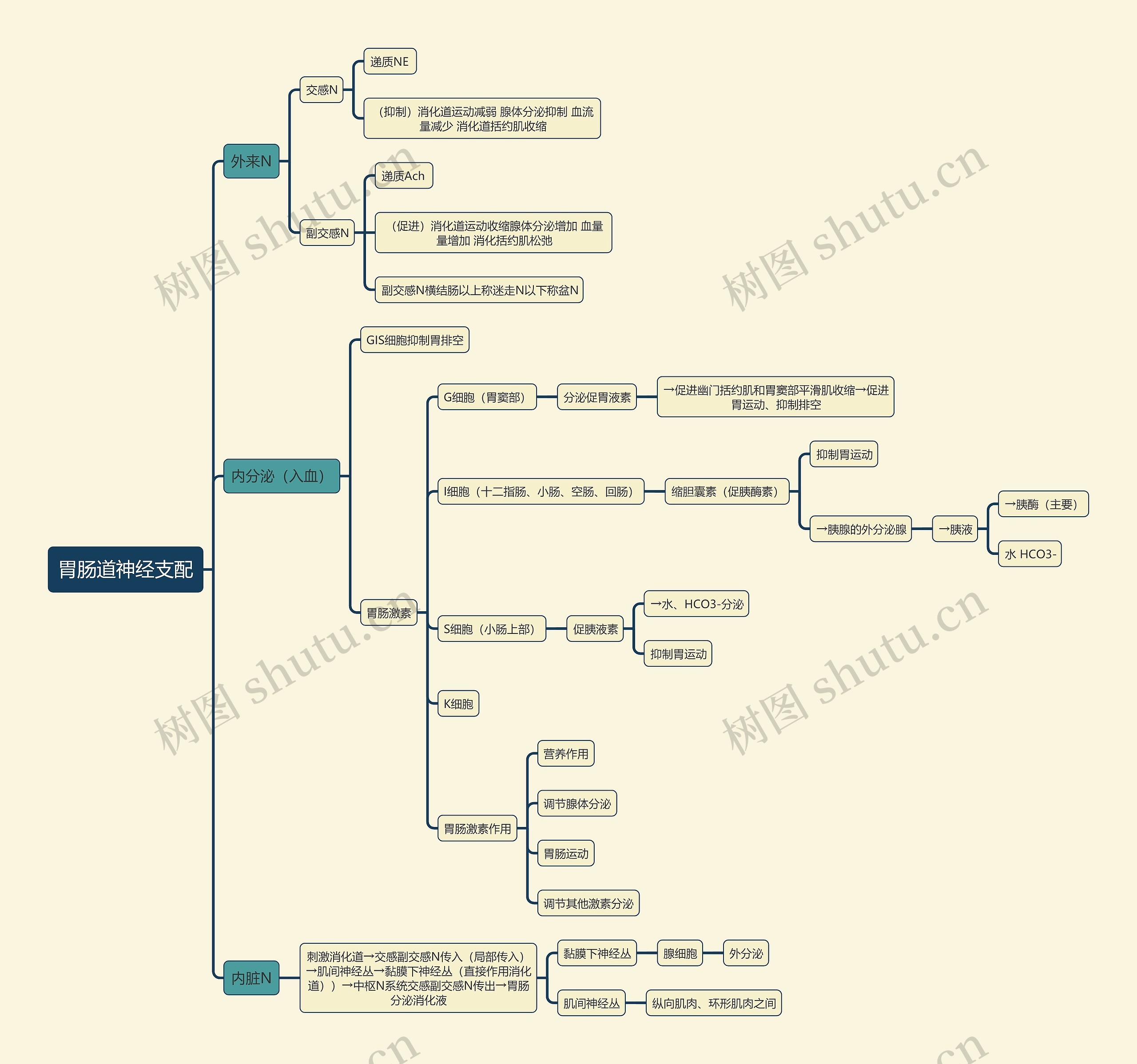 医学知识胃肠道神经支配思维导图