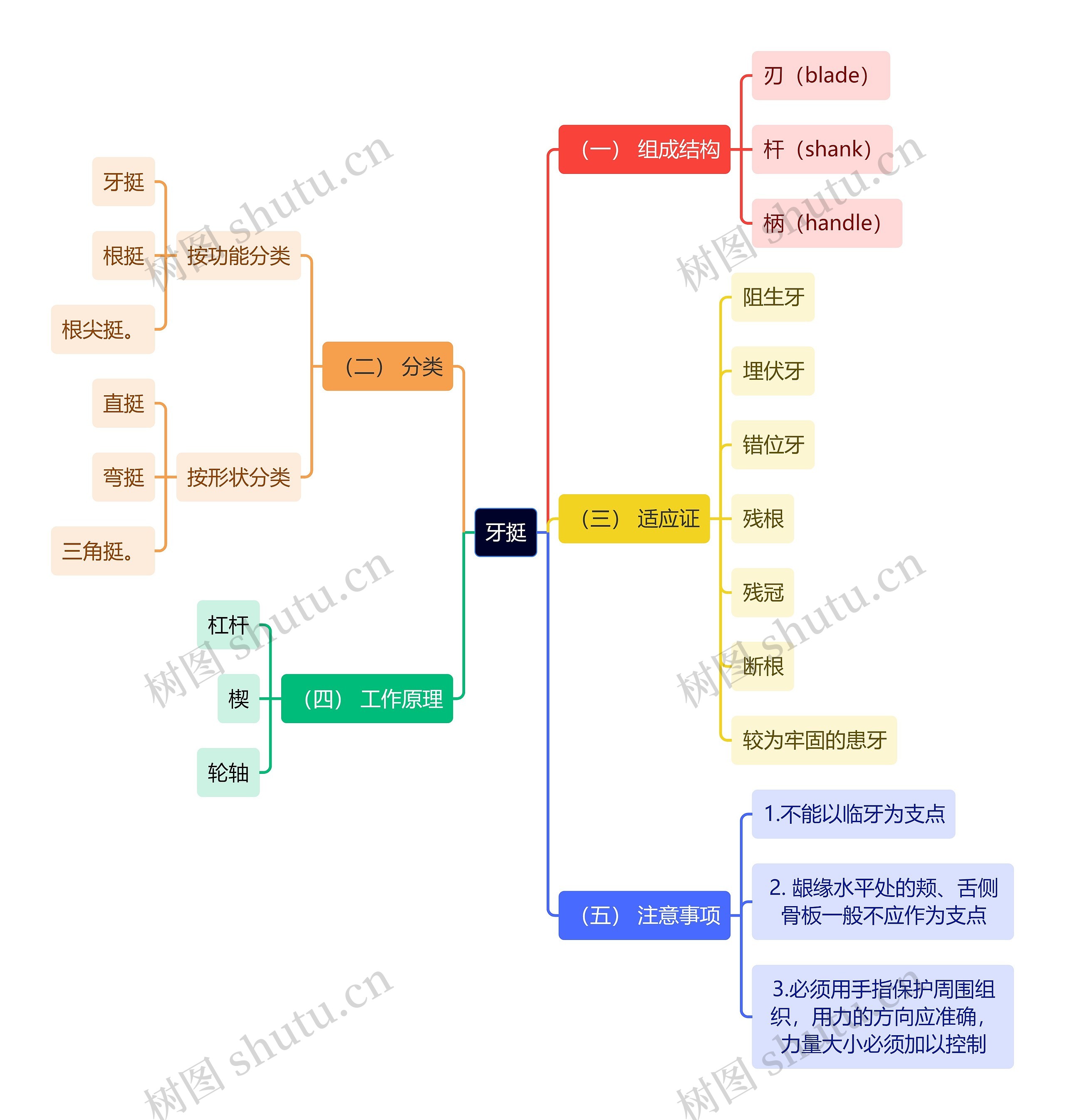 医学知识牙挺思维导图