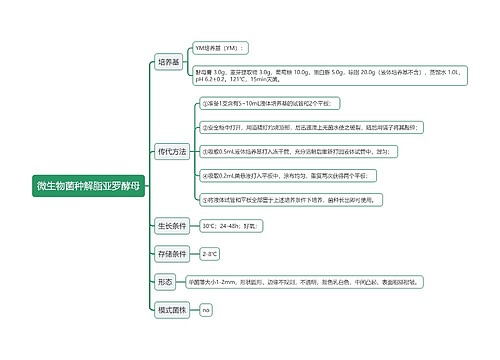 微生物菌种解脂亚罗酵母思维导图