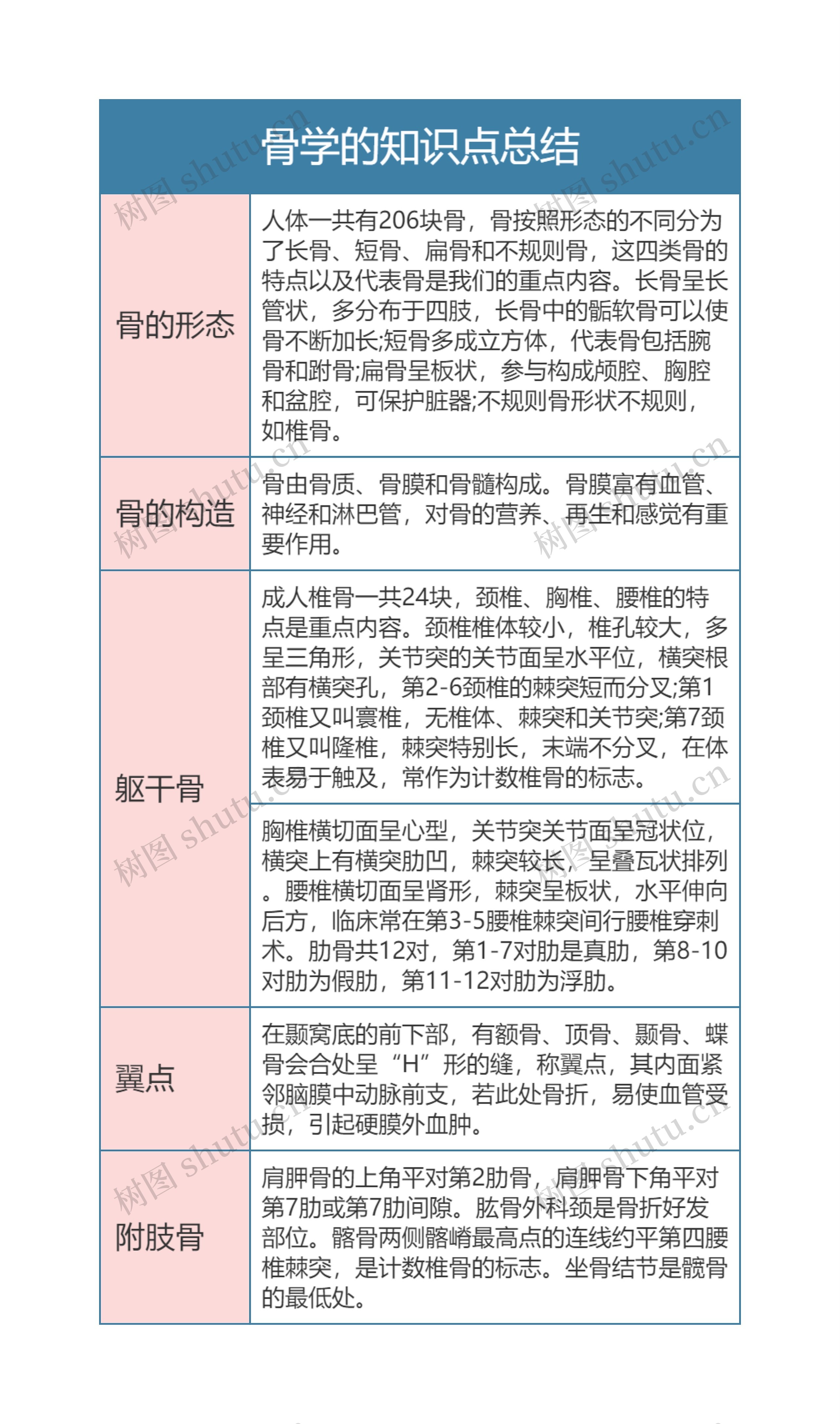 骨学的知识点总结思维导图