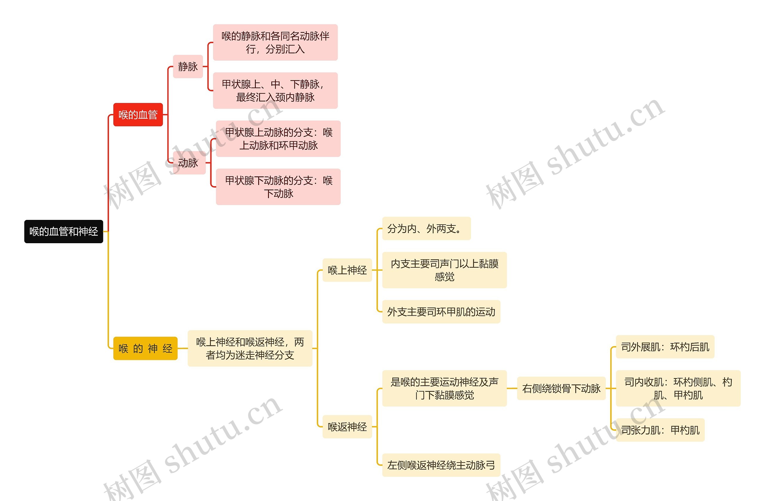 医学知识喉的血管和神经思维导图