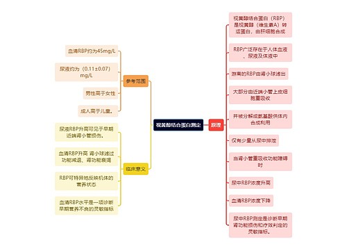 医学知识视黄醇结合蛋白测定思维导图