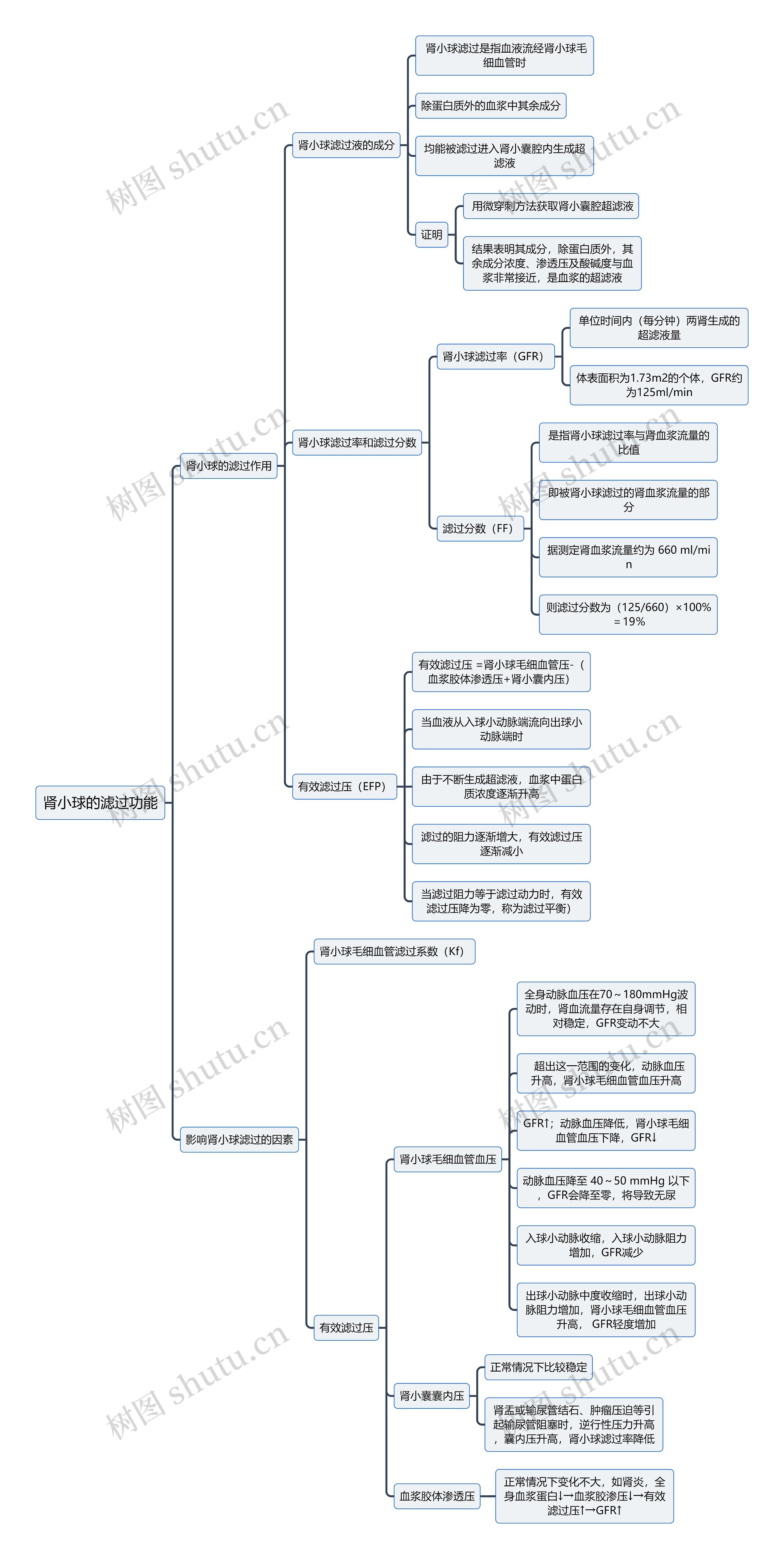 医学知识肾小球的滤过功能思维导图