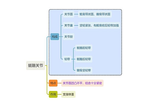 骨学知识骶髂关节思维导图