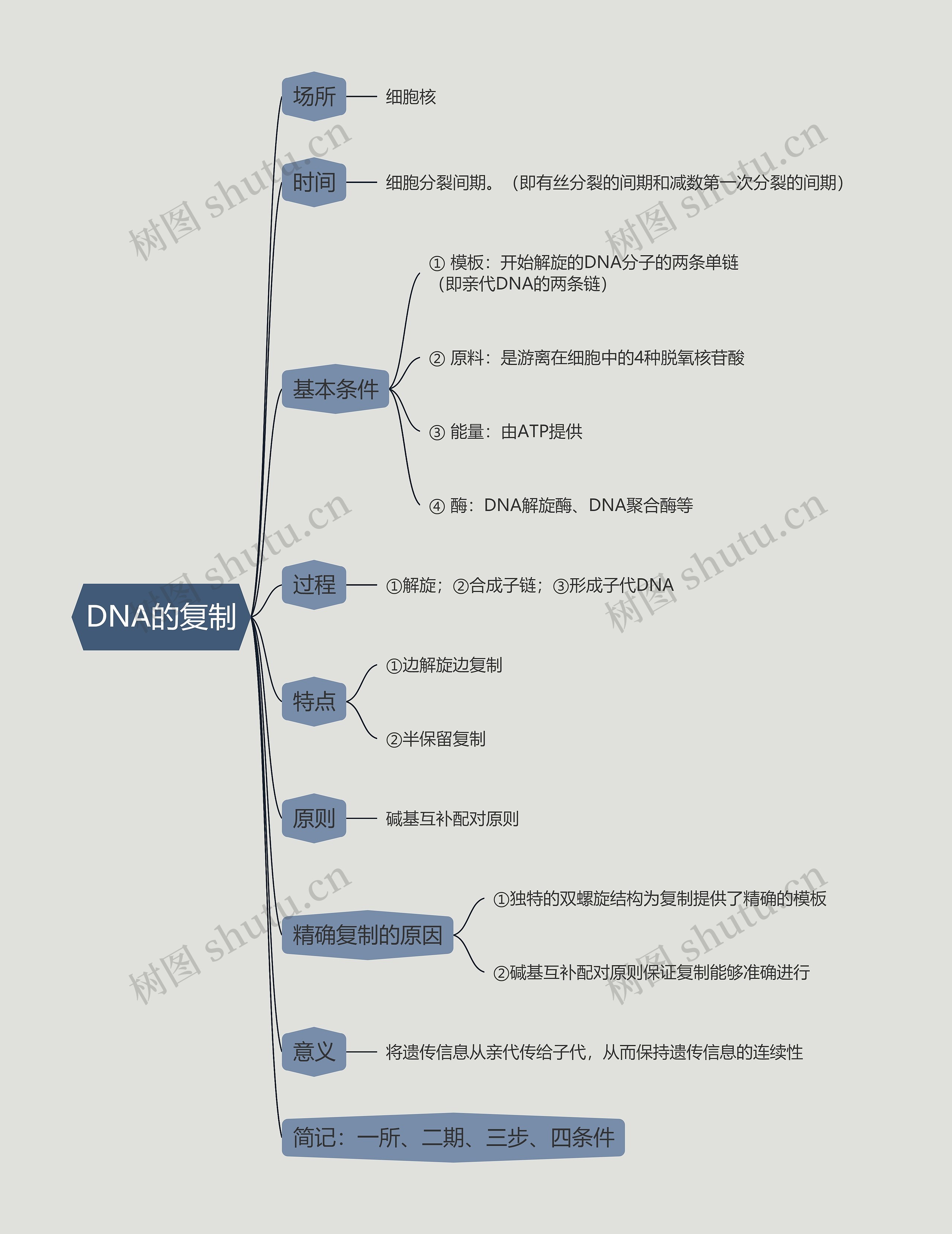 DNA的复制的思维导图