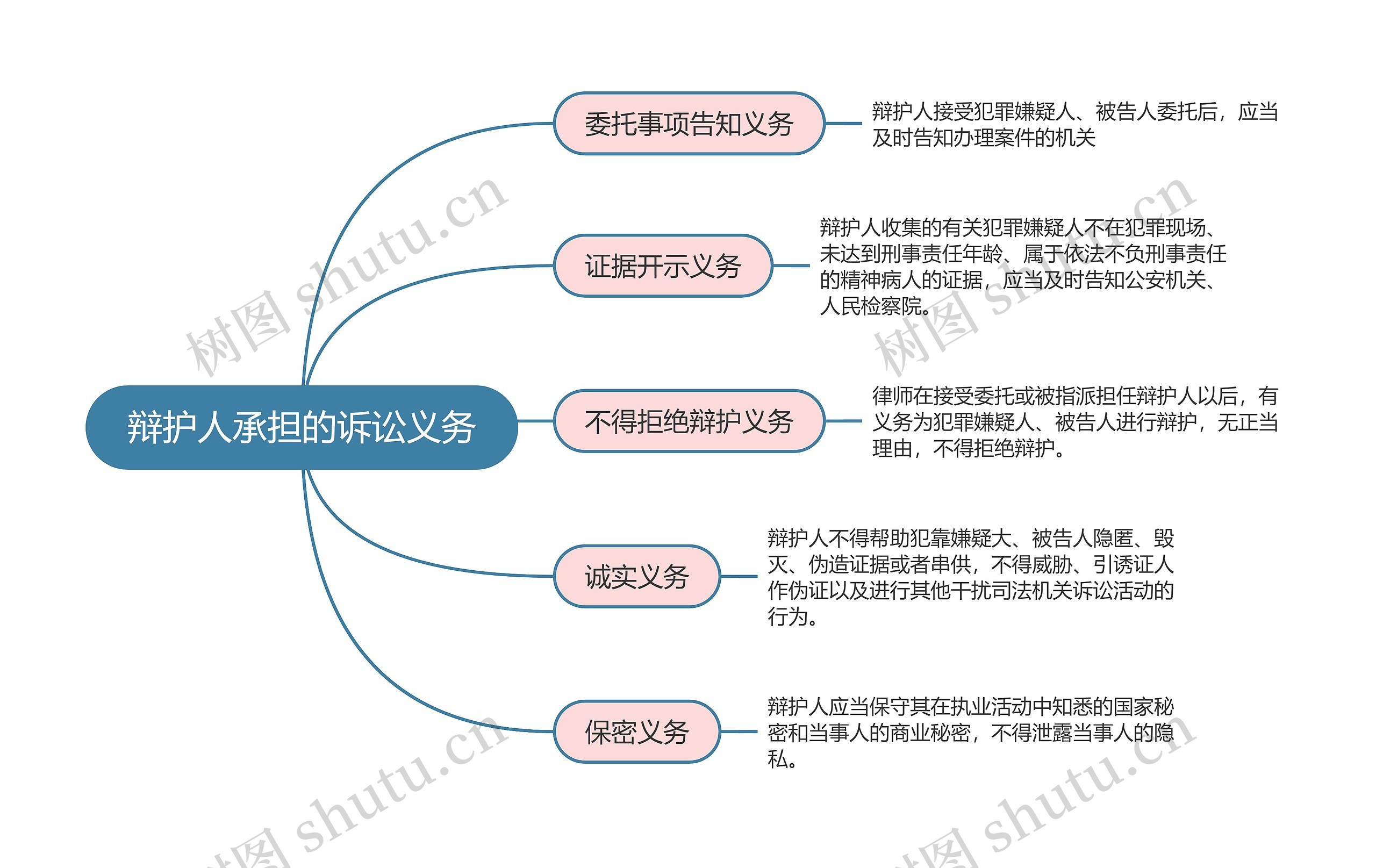 刑事诉讼法辩护人承担的诉讼义务思维导图