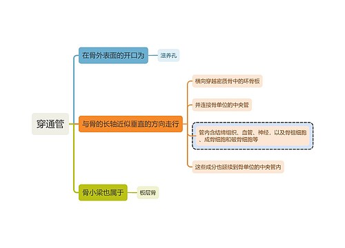 医学知识穿通管思维导图