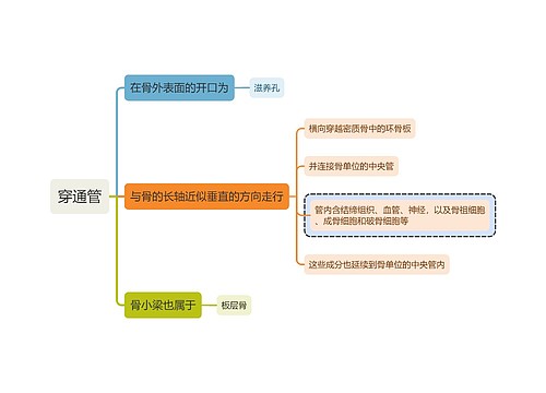 医学知识穿通管思维导图